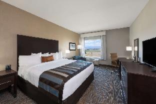 Wyndham Garden Orlando Universal / I Drive Værelse billede